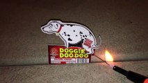 Hilarious Dog-Shaped Firework Poops When Lit
