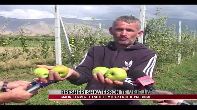 Maliq, breshëri shkatërron të mbjellat - News, Lajme - Vizion Plus