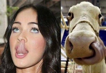 Funny Videos 2017 ● People doing stupid things P32 - YouTube