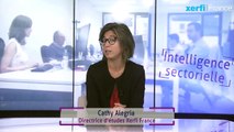 Le marché des réseaux intelligents en France [Cathy Alegria]