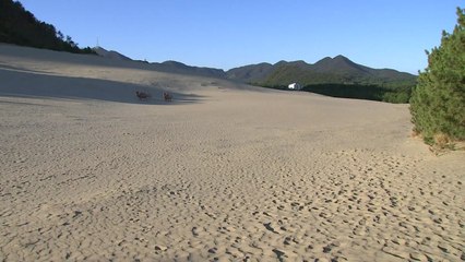 사라지는 섬 자연 유산들...대청도 해안 사구 / YTN