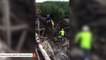 Construction Workers Find A Gator Clogging Up A Pipe In Florida