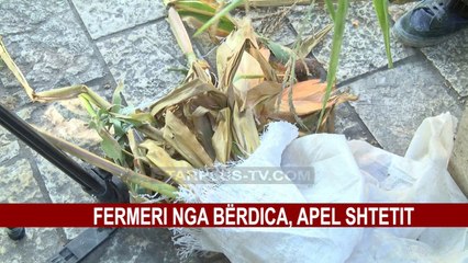 LUSH NDOCI, NJERIU I PROTESTËS !