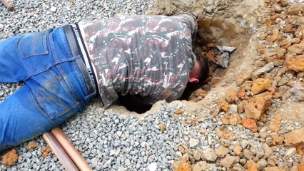 Man Shoves His Arm Into Drainpipe To Rescue A Dog