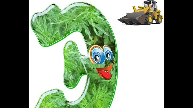 Музыкальный Русский Алфавит в картинках Music Russian Alphabet in pictures