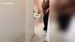 Woman freaks out as she tries to remove a lizard from her house