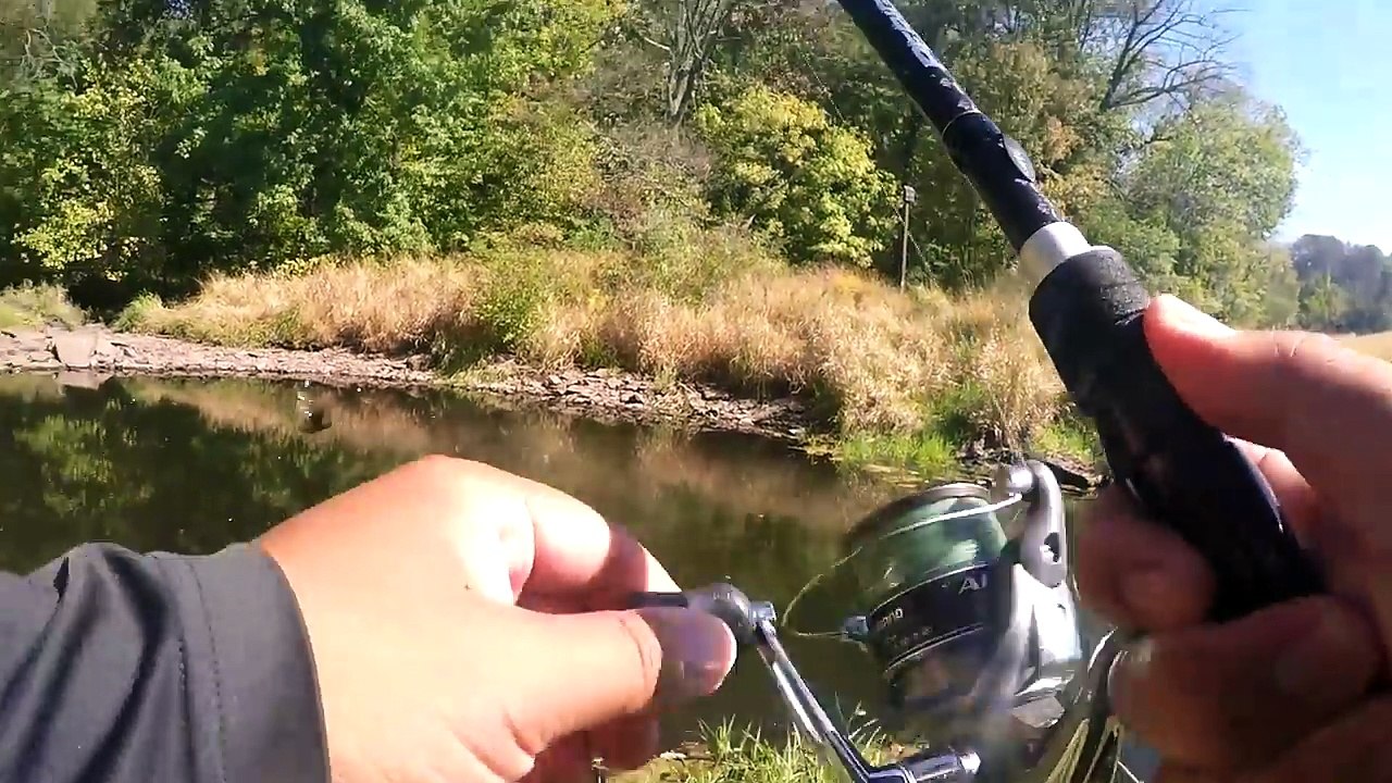 I FOUND a NICE PUDDLE to Fish at!!! (Give-Away Included) (Pennington, NJ)