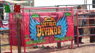 ¡FENOMENAL EQUIPO! LOS TOROS DIVINOS Y SELECCION NAYARITA SAN RAFAEL 2017   LA DINASTIA DE TUZANTLA