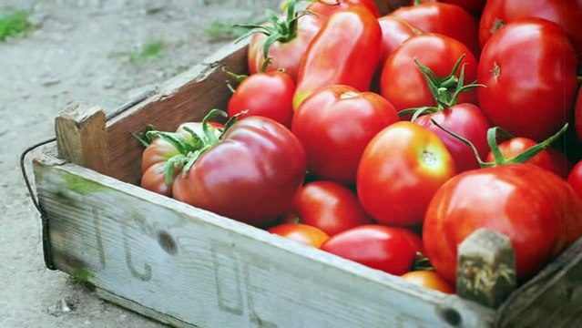 Alimentos que no debes guardar en el refrigerador