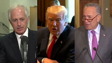 美상원 "트럼프, 北문제 전문가에 맡겨야"...민주 "김정은과 싸움 말고 中압박" / YTN