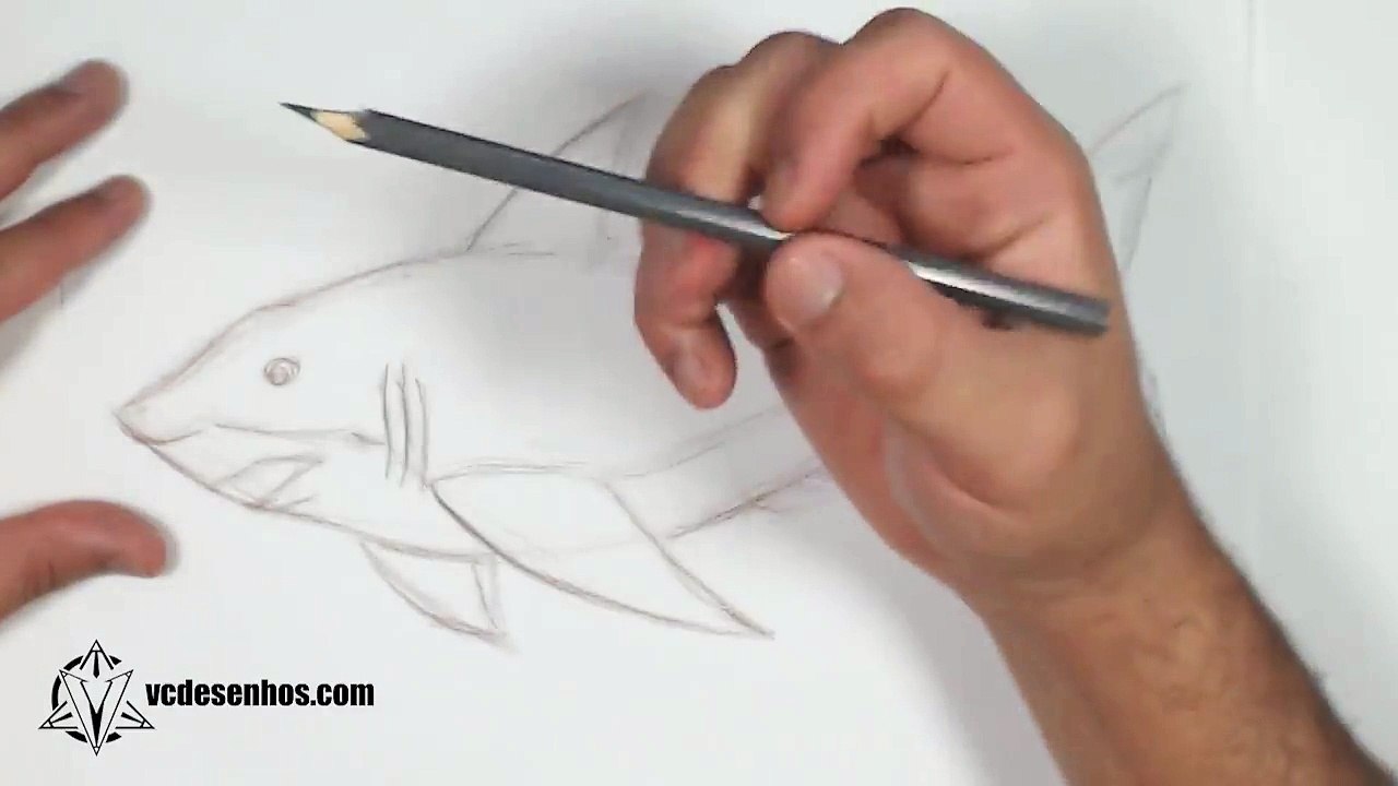 Como desenhar Tubarão Realista