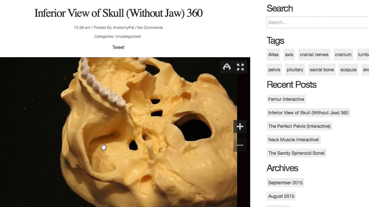anatomypal.com