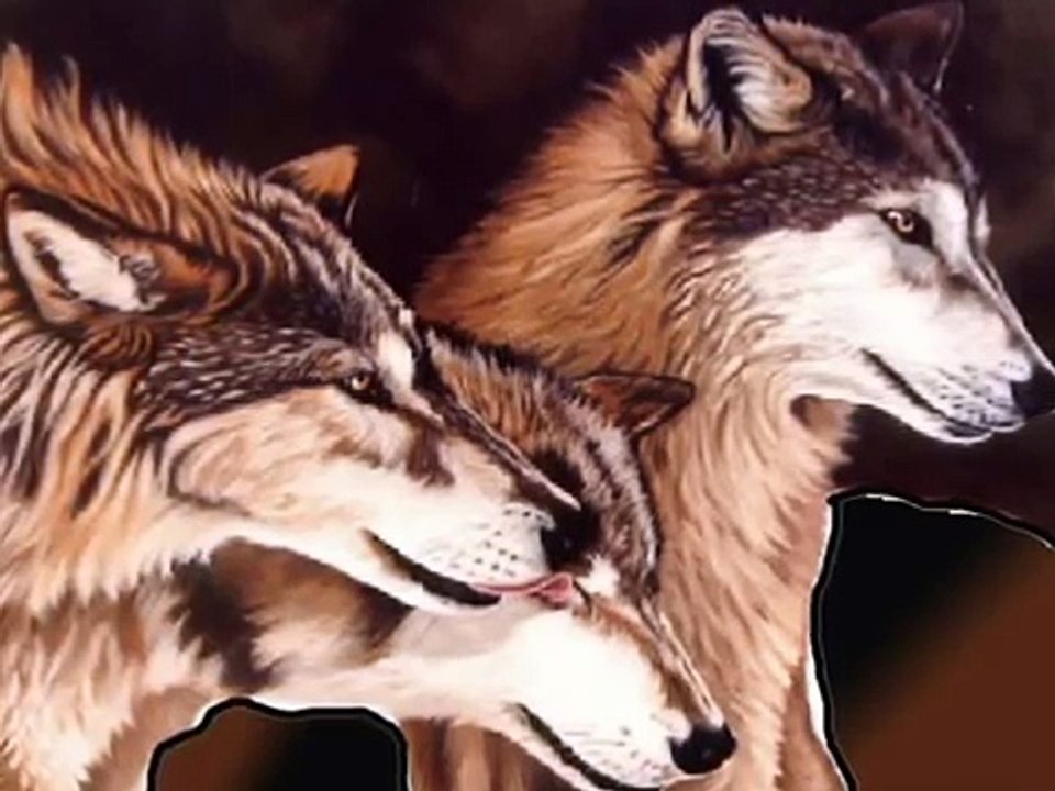 Secretul Imparatiei de sus 2 | Povesti pentru copii video | Povesti pentru copii in romana