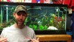 How to set up a Freshwater Aquarium: Beginners guide to your 1st Aquarium