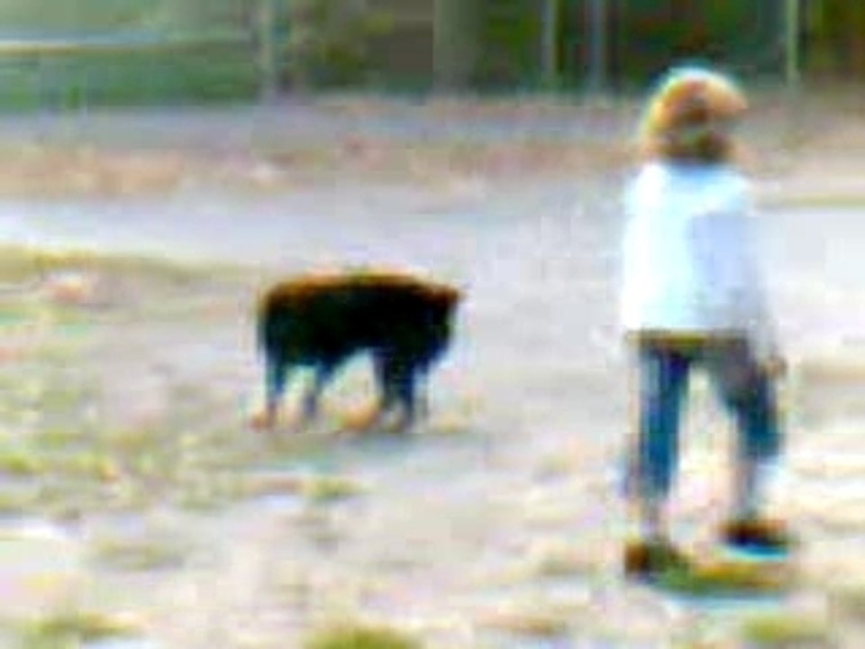 Vidéo000