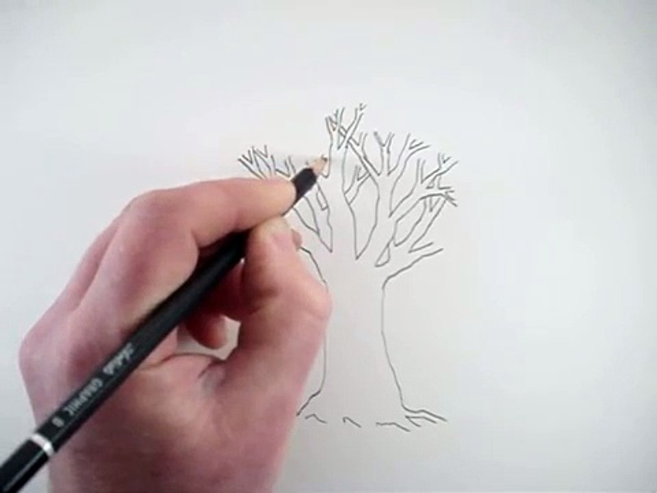 How to Draw a Tree and a Forest