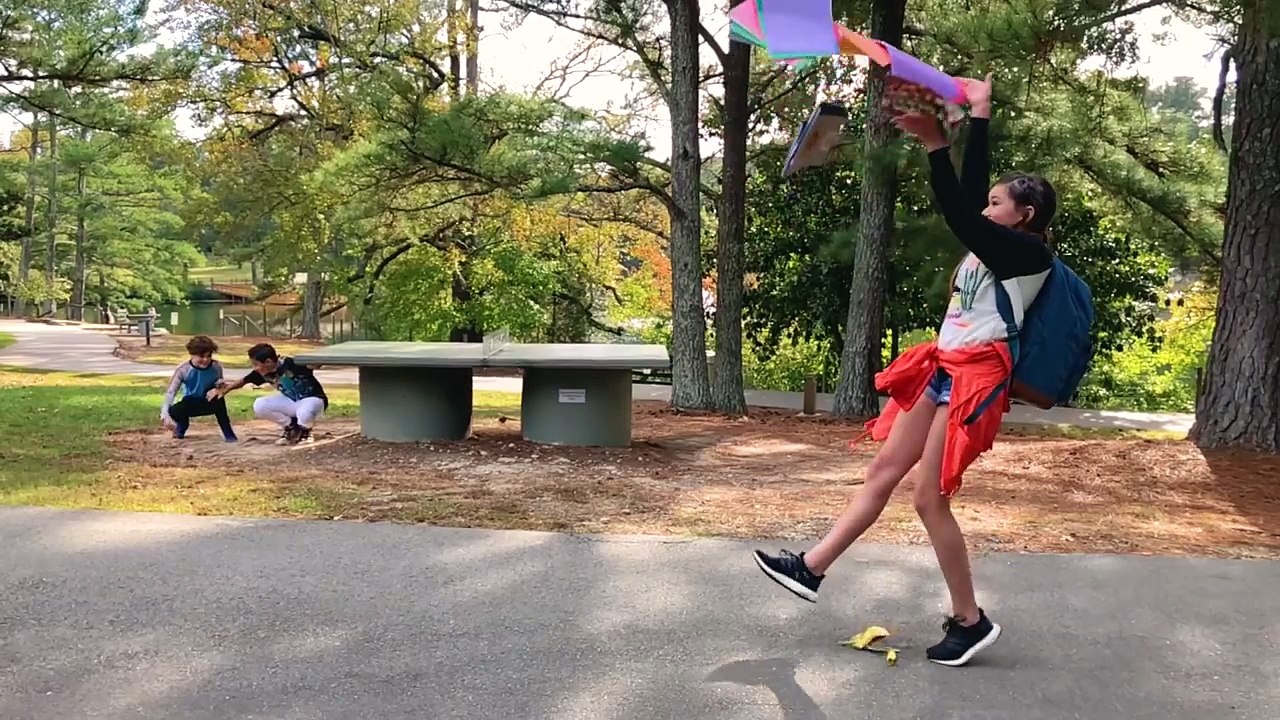 Taylor Swift - Look What You Made Me Do (Haschak Sisters Cover)