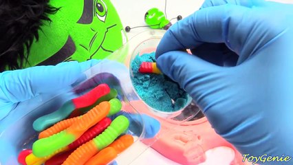 Cutting Open Hulk Exploding Belly Whats Inside