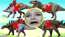 Tyrannosaurus Wrong Heads Dinosaurs! Match Up Game Learn Dinosaur Stegosaurus Rex Crying baby 공룡퍼즐