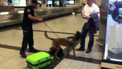 Alman yolculara havalimanında köpekli arama