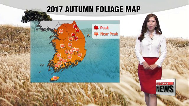 Mild highs under sunny skies