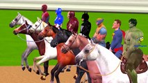 Spiderman Hulk Batman Ironman Captain America Cartoons For Children Horse Racing Videos