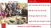 भारत के सबसे खतरनाक #डाकुओं का सच _realy fact indian robber