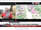 Bencana Banjir di Pandeglang, Warga Mulai Alami Gatal-Gatal
