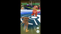 Pokémon GO Gym Battles Level 7 Gym Kabutops Snorlax Rhydon Poliwrath Starmie & more