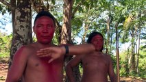 Amazonie: les indiens Waiãpi inquiets face à la menace minière