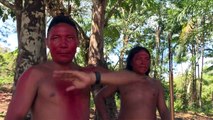 Amazonie: les indiens Waiãpi inquiets face à la menace minière