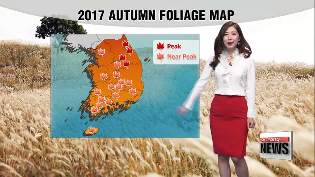 Mild highs under sunny skies _ 102517