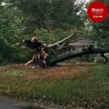 Devasa ağaç fırtına nedeniyle evin üzerine düştü