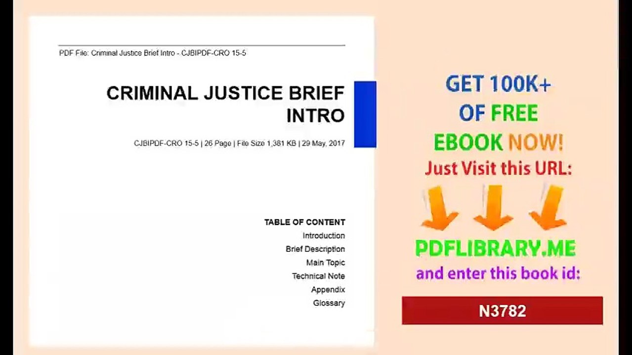 Criminal Justice Brief Intro