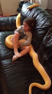 Quand tu regardes la TV avec ton animal de compagnie, un serpent de 4m