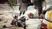 Assassin's Creed Origins : toutes les infos à quelques jours avant la sortie du jeu