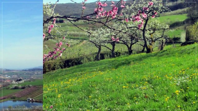 A vendre - Maison - Saint-Romain-de-Popey (69490) - 4 pièces - 118m²