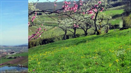 A vendre - Maison - Saint-Romain-de-Popey (69490) - 4 pièces - 118m²