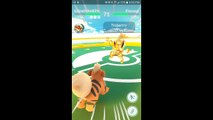 Pokémon GO Gym Battles 2 Gym takeovers Team Rocket Weezing Victreebell Meowth Arbok & more