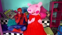 Spidrman Finger Family Rhymes Collection (SuperHero Emi TV), Children Nursery Rhymes || Daddy Finger