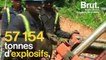 Mine d'or en Guyane : WWF craint la catastrophe écologique