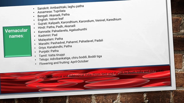 Health Supplements - Best Food Supplement Vitamins