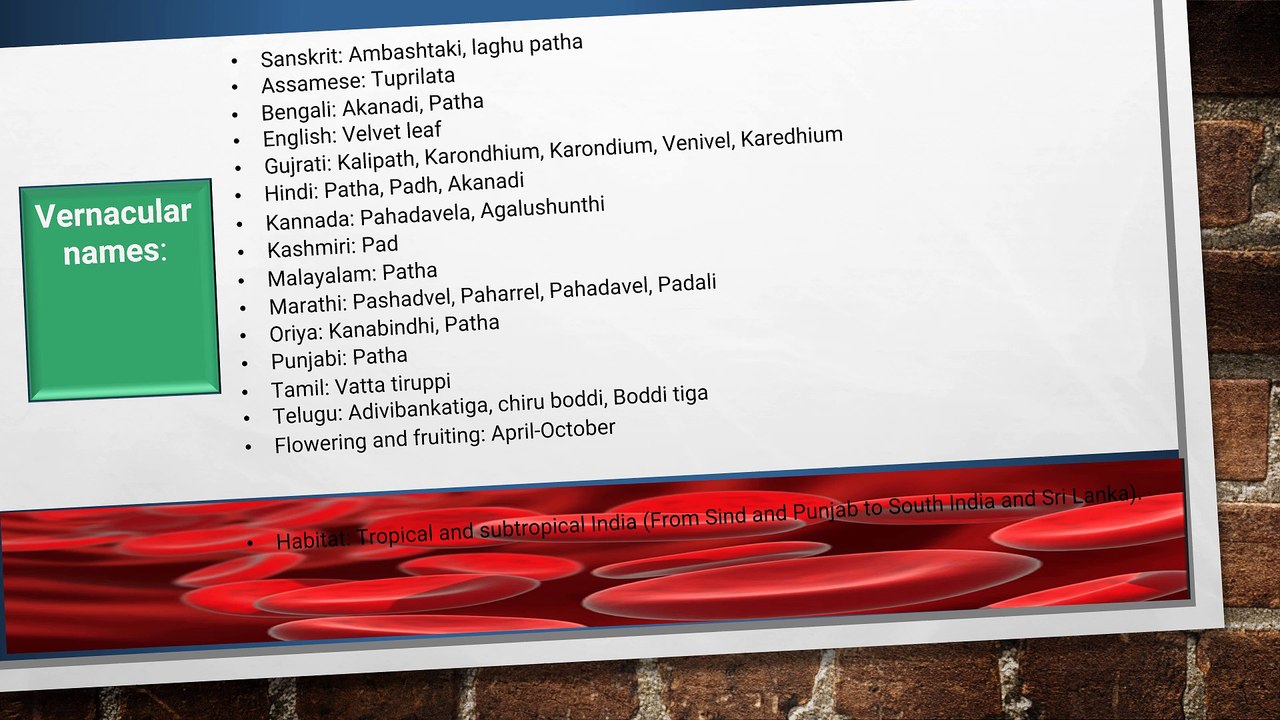 Health Supplements - Best Food Supplement Vitamins