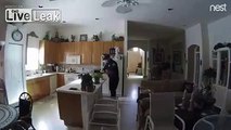 Palm Beach Deputy Caught On Camera Stealing Prescription Medication