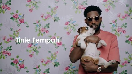 Every Cameo in Charli XCX's 'Boys' Video