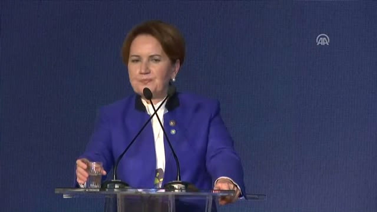 Eski Milletvekili Akşener, Yeni Partinin Kuruluşunu Açıkladı (3)