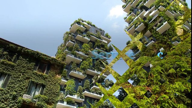 Tree Pruning And Trimming Service In Boise