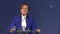 Eski Milletvekili Akşener, Yeni Partinin Kuruluşunu Açıkladı (2)