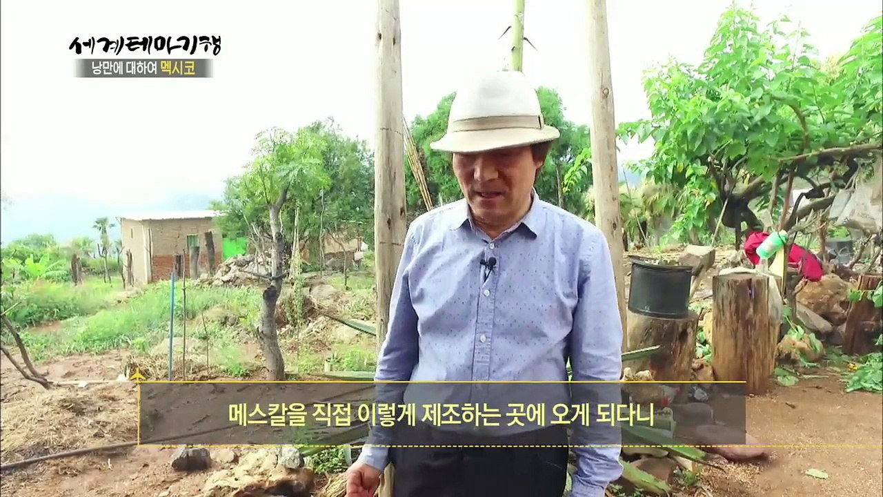 세계테마기행 - 낭만에 대하여 멕시코! 3부- 맛에 취하고 향기에 취하고_#002