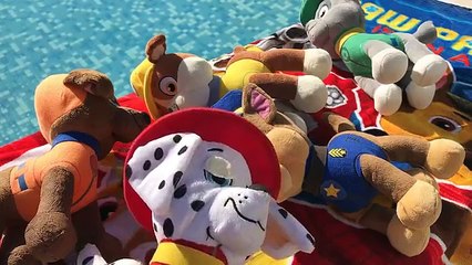 Patrulla canina español MARSHALL HACE PIS A SKYE EN LA PISCINA Y CHASE SE HACE PIPI ENCIMA/cap 92